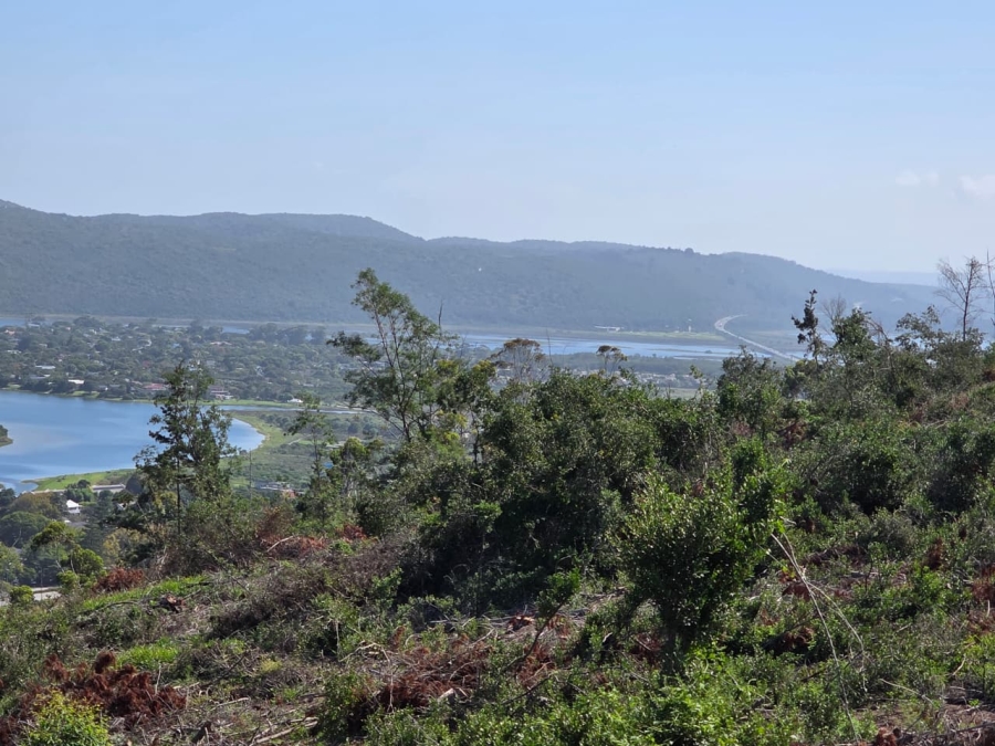 0 Bedroom Property for Sale in Sedgefield Rural Western Cape